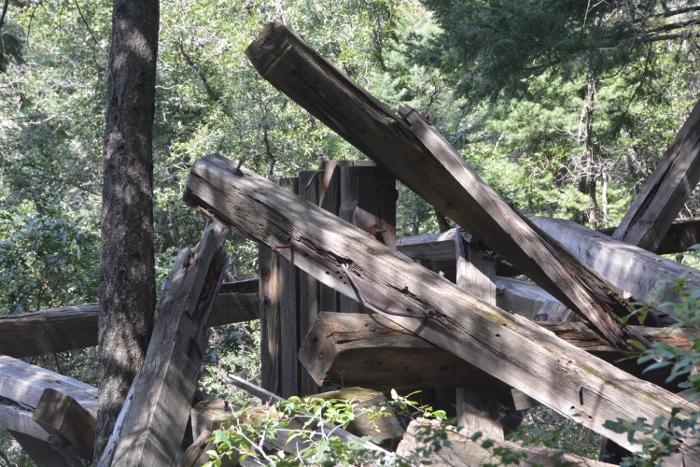 trestle remains